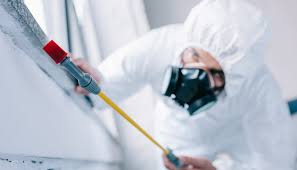 Best Real Estate Pest Inspections  in Flint, MI